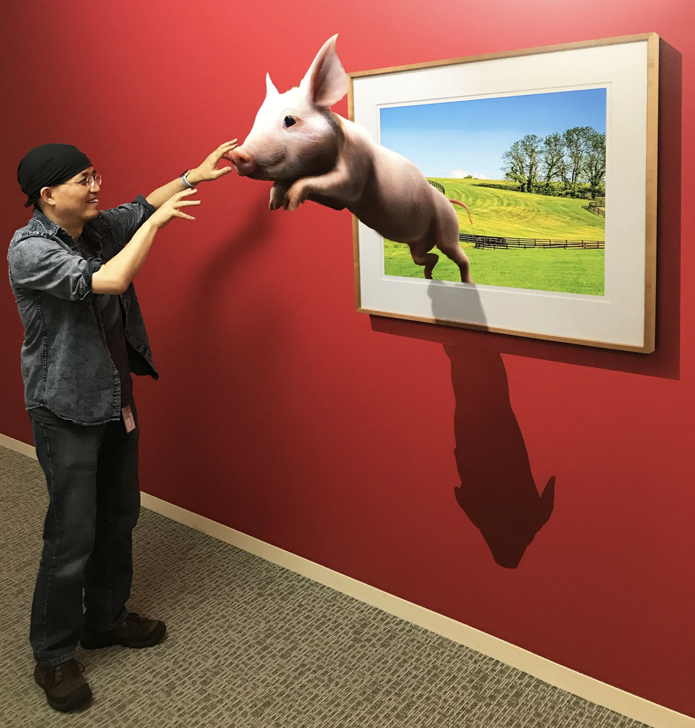 Feeding a pig that appears to pop out of a framed picture